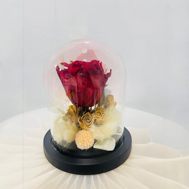 Preserved Rose in Glass Dome